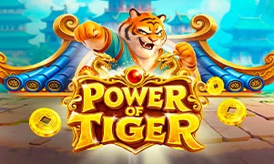 Power of Tiger